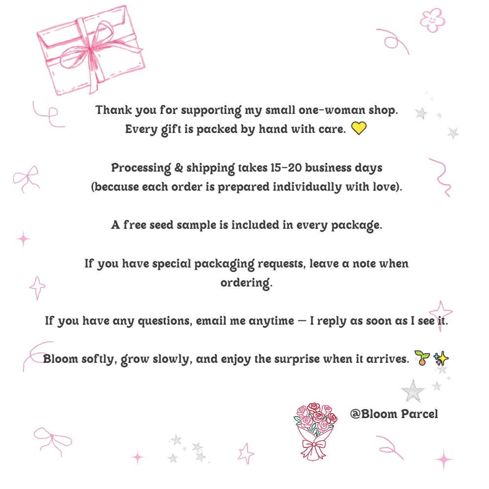 Muscari 'Chuanghuan' Imported Perennial Bulbs