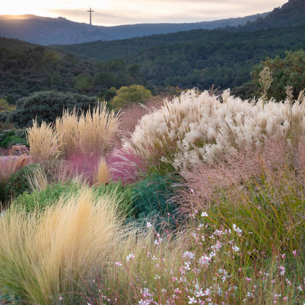 The Story Behind Bloom Parcel
