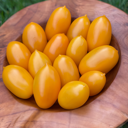 Solanum lycopersicum 'Yellow Cherry' Tomato Seeds