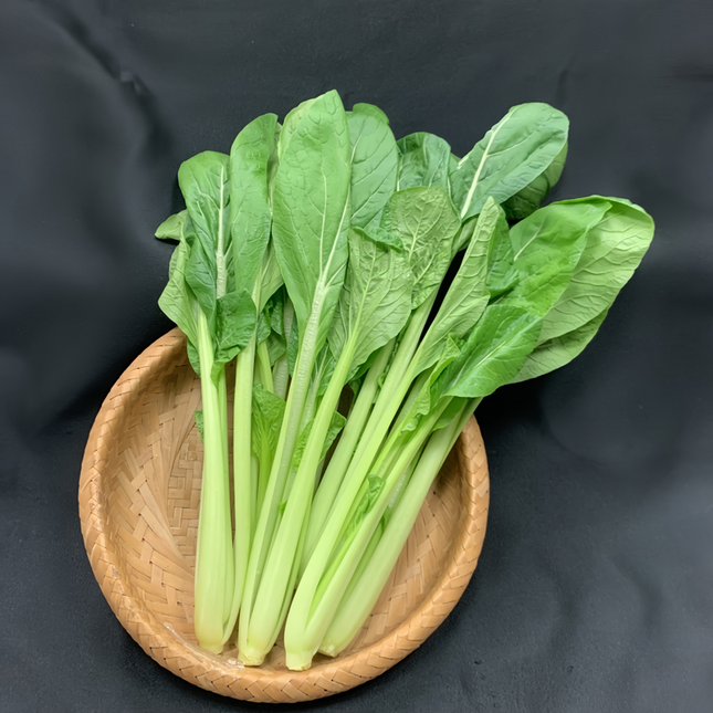 Brassica napus 'Rapeseed' Oilseed & Forage Seeds