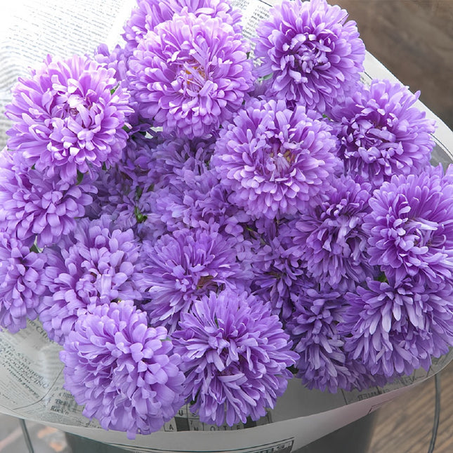 Pink Aster Seeds — Callistephus Chinensis