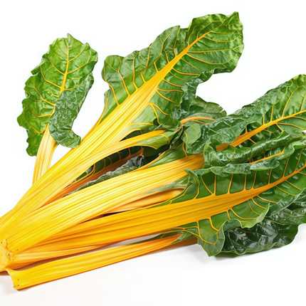 Beta vulgaris subsp. vulgaris 'Green Leaf Yellow Vein' Chard Seeds