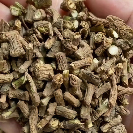 Bupleurum chinense 'Chinese Thoroughwax' Medicinal Seeds