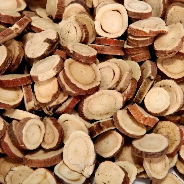 Glycyrrhiza uralensis 'Chinese Licorice' Medicinal Herb Seeds