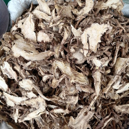 Heracleum hemsleyanum 'Chinese Hogweed' Medicinal Seeds