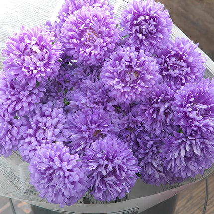 Callistephus Chinensis 'Baby Blue' Delicate Aster Seeds