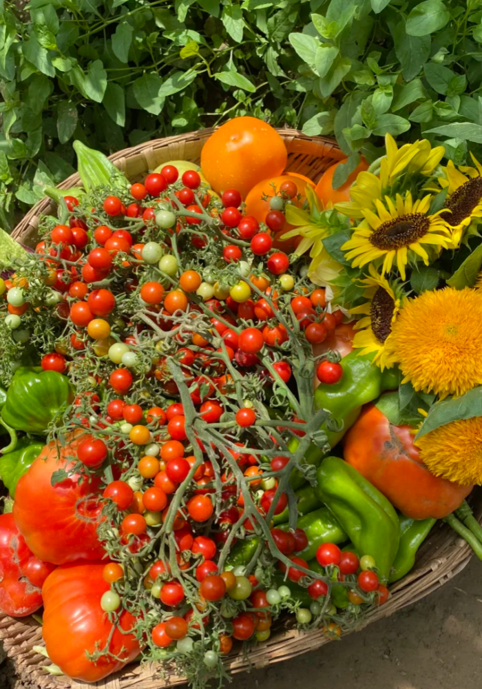 <h1>Seeds That Actually Grow.</h1>