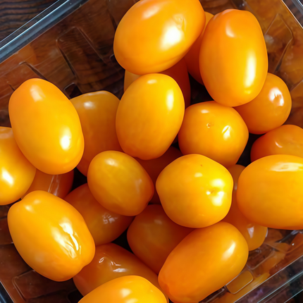 Solanum lycopersicum 'Yellow Cherry' Tomato Seeds