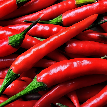 Capsicum annuum var. conoides 'American Red Horn' Hot Pepper Seeds