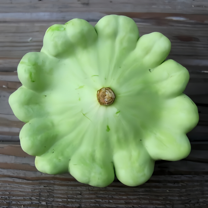 Cucurbita moschata 'Trophy' Tri-Color Winter Squash Seeds
