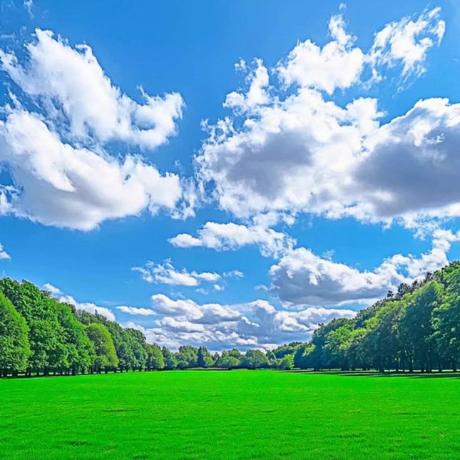 Festuca rubra 'Creeping Red Fescue' Fine Turf & Erosion Control Seeds