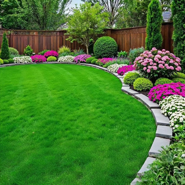 Cynodon dactylon 'Emerald' Bermuda Grass Turf Seeds